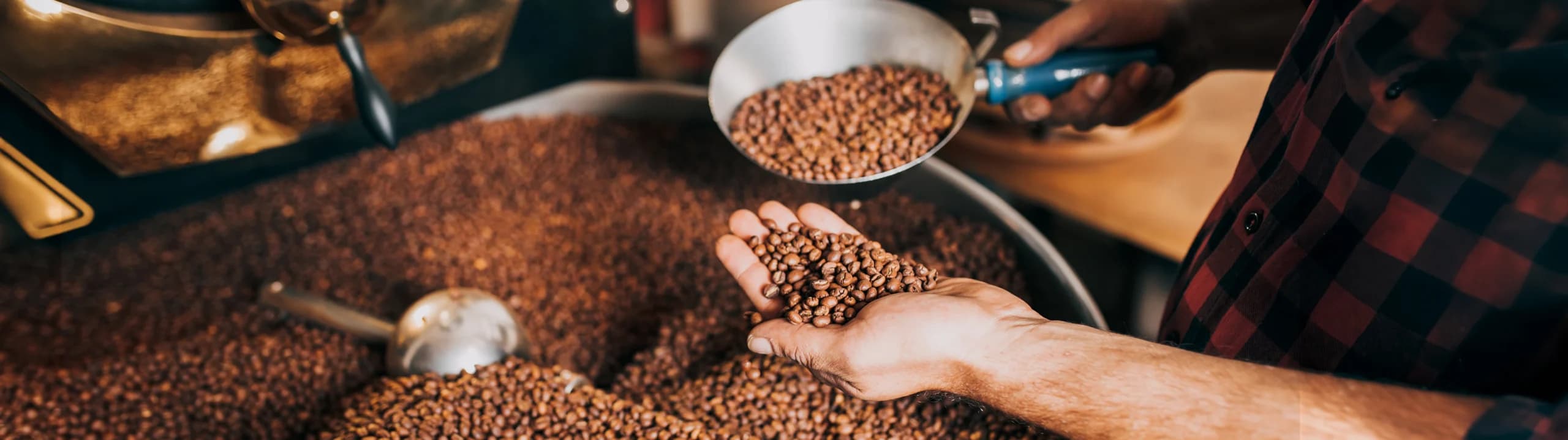 Markets Agriculture Coffee Header