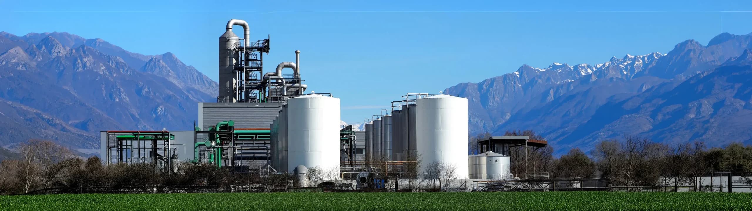 Markets Energy Bio Fuels Header