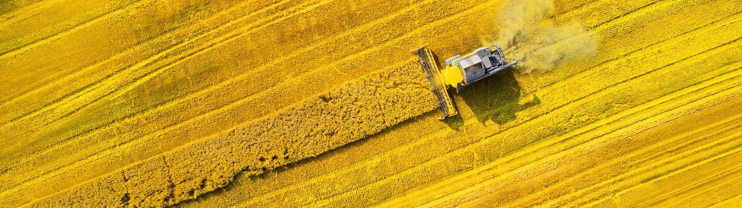 Markets Agriculture Header