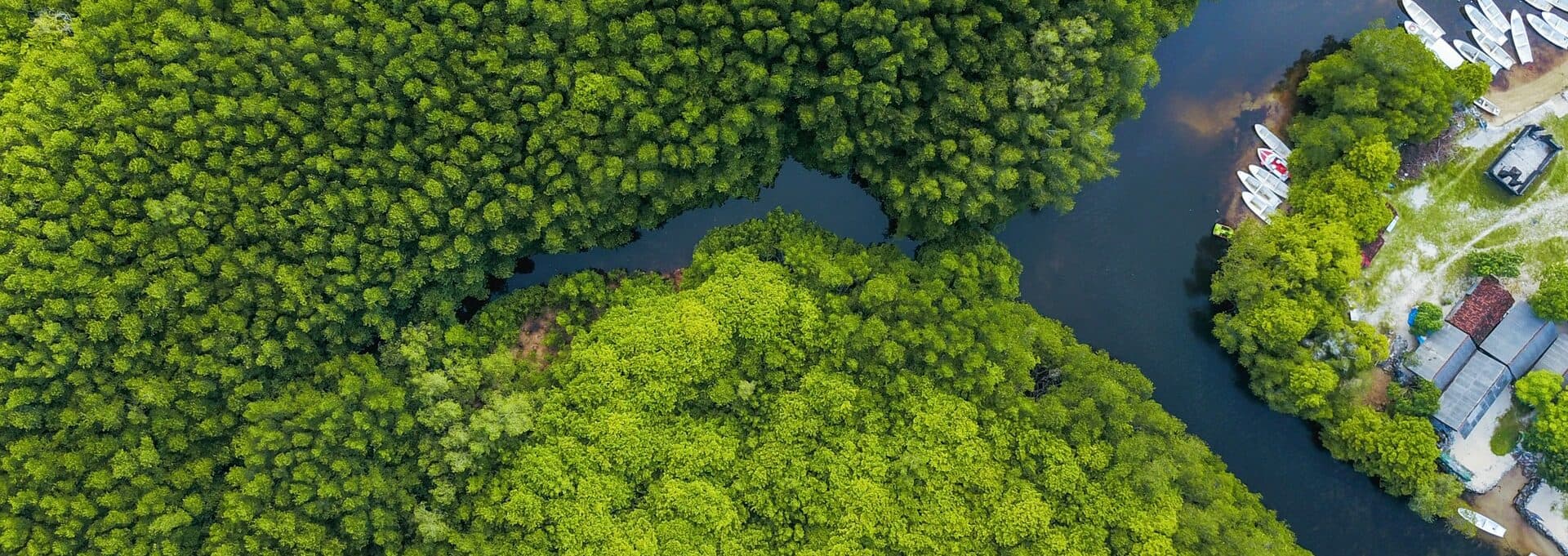 Marex — Mangrove Project