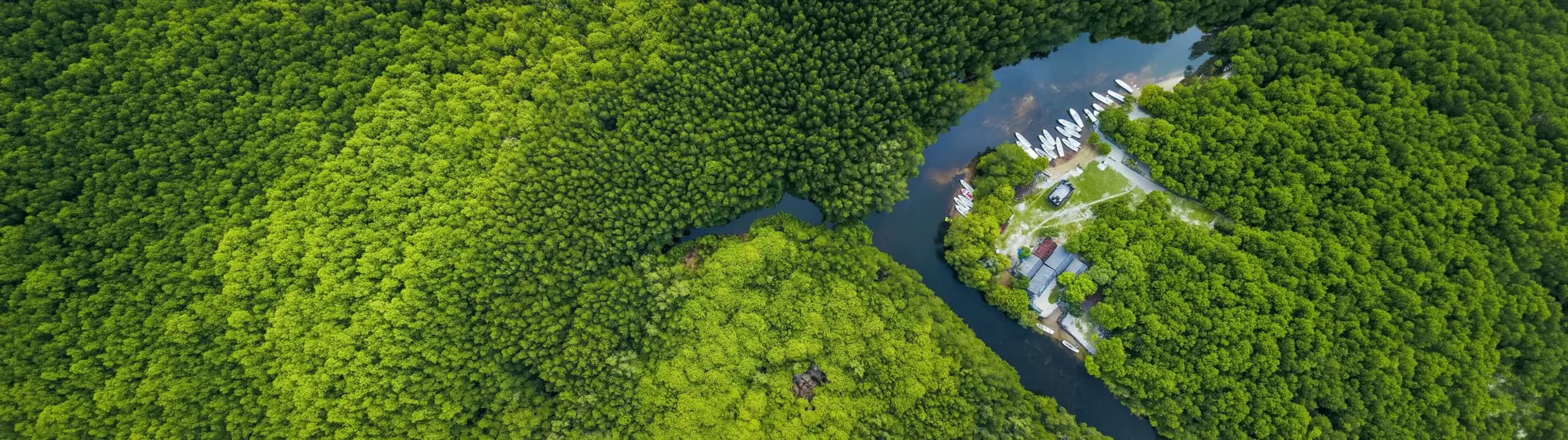 Markets Environmental Voluntary Emissions Header