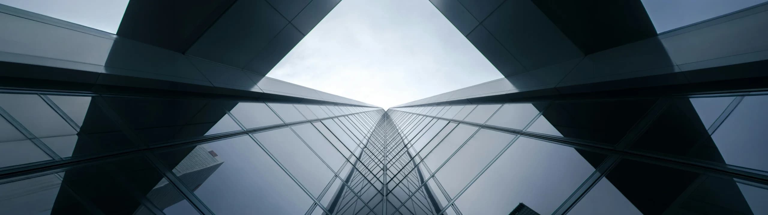 Investor Corporate Governance Documents Header